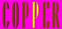 Copper Modern Indian Cuisine