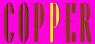 Copper Modern Indian Cuisine